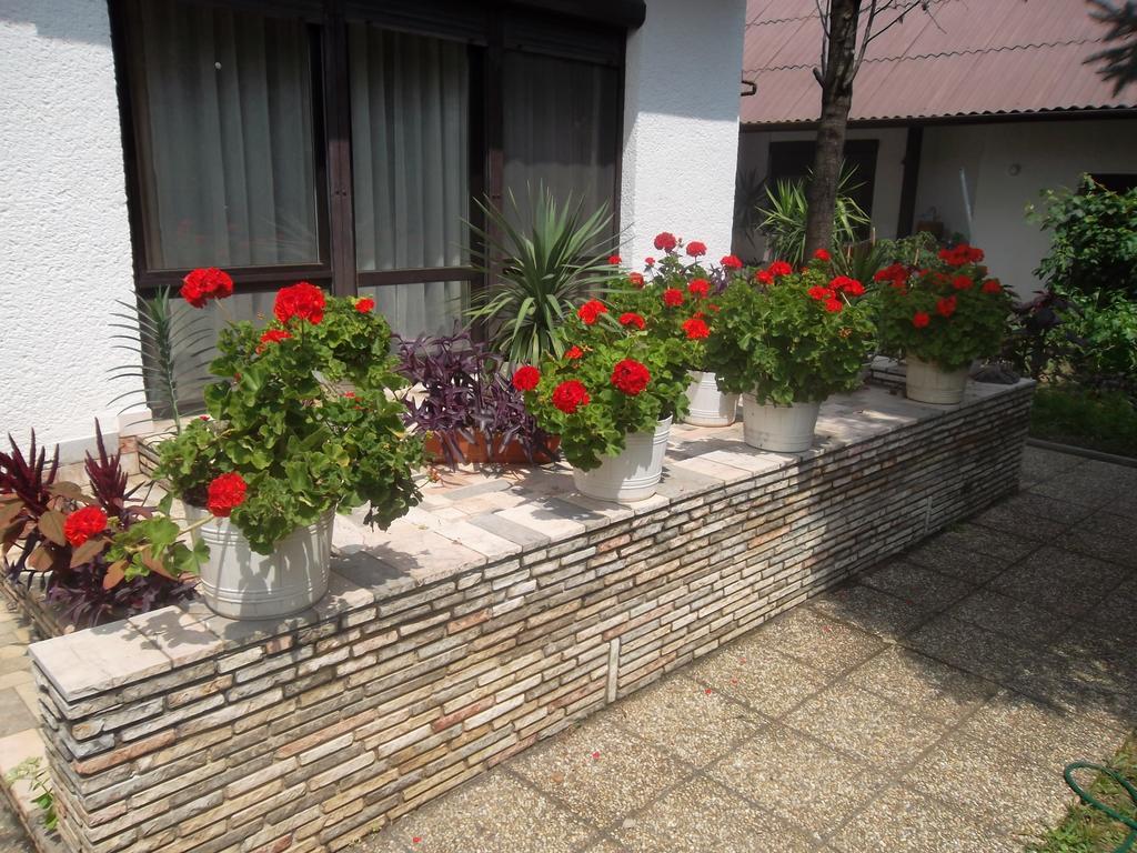 Hotel Haus Gizella Harkan Exterior foto